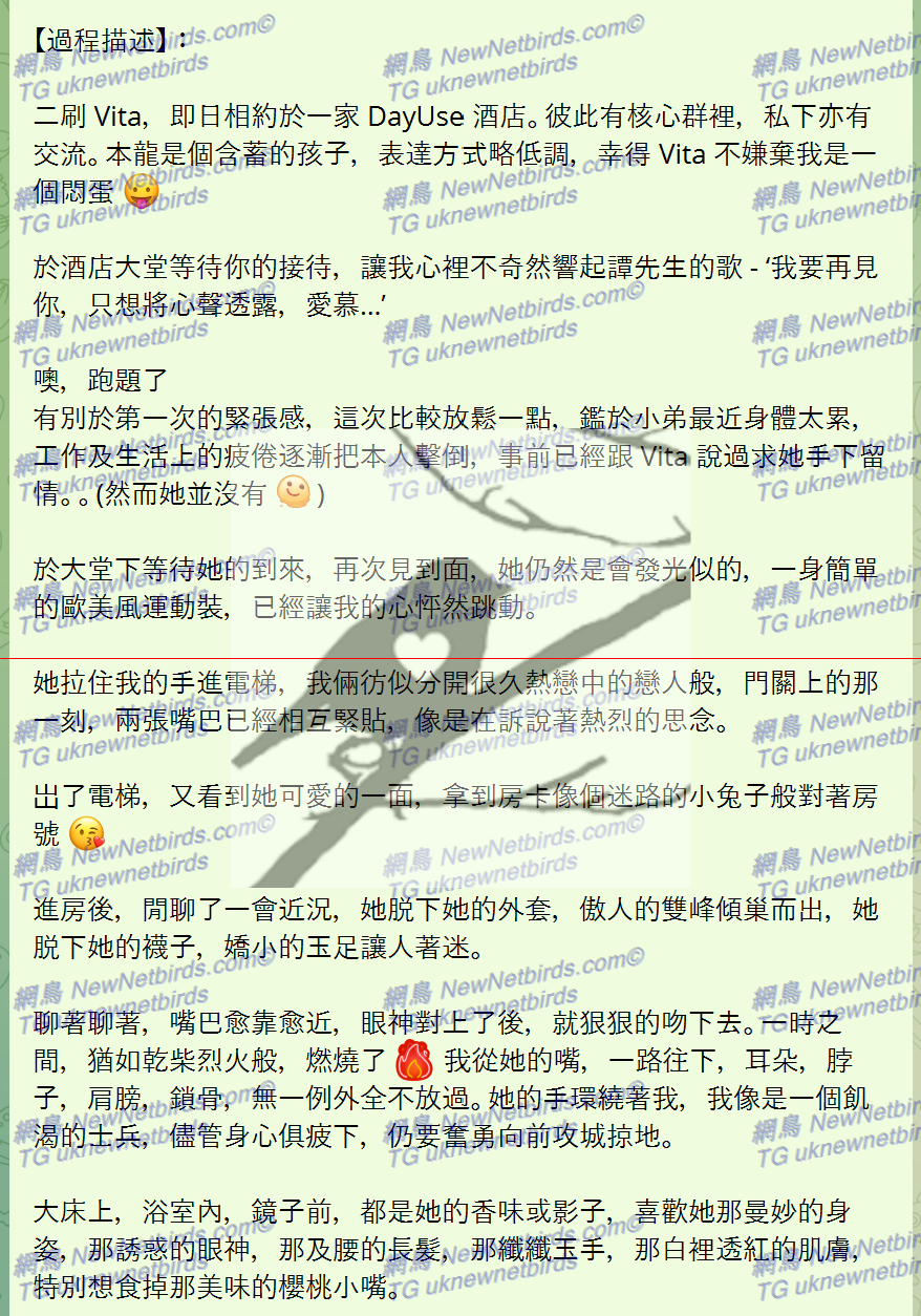 戰號 306 2.png